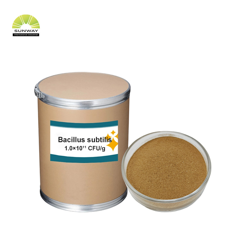 Clostridium butyricum probiotique de qualité alimentaire, pour volaille, poulet, couche de poulet, porc, bovins, produits laitiers, poissons, crevettes, alimentation pour animaux de compagnie