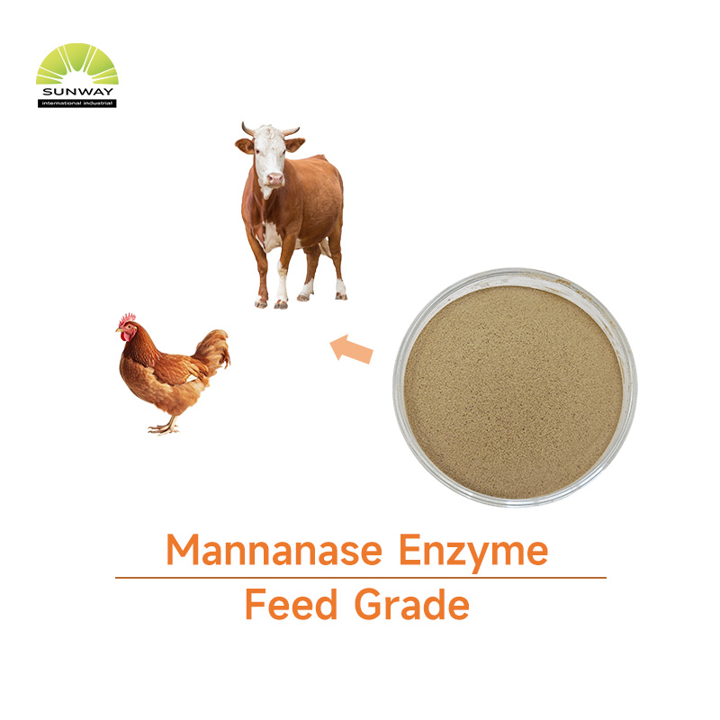 Bêta Mannanase d'enzyme Mannanase de qualité alimentaire 50000u/g pour améliorer l'immunité animale