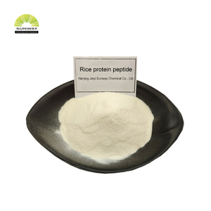 SUNWAY Additifs alimentaires Protéine de riz biologique en poudre Protéine de riz sans OGM Petide Protéine de riz en vrac Petide