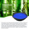 Poudre de phycocyanine de spiruline E18 de colorant bleu naturel de couleur de catégorie comestible