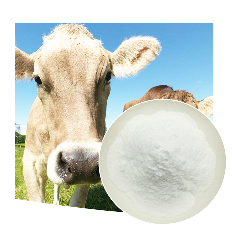 SUNWAY approvisionnement d'usine prix de gros de haute qualité de qualité alimentaire de qualité industrielle de qualité agricole de qualité médicale poudre de chitosane CAS 9012-76-4