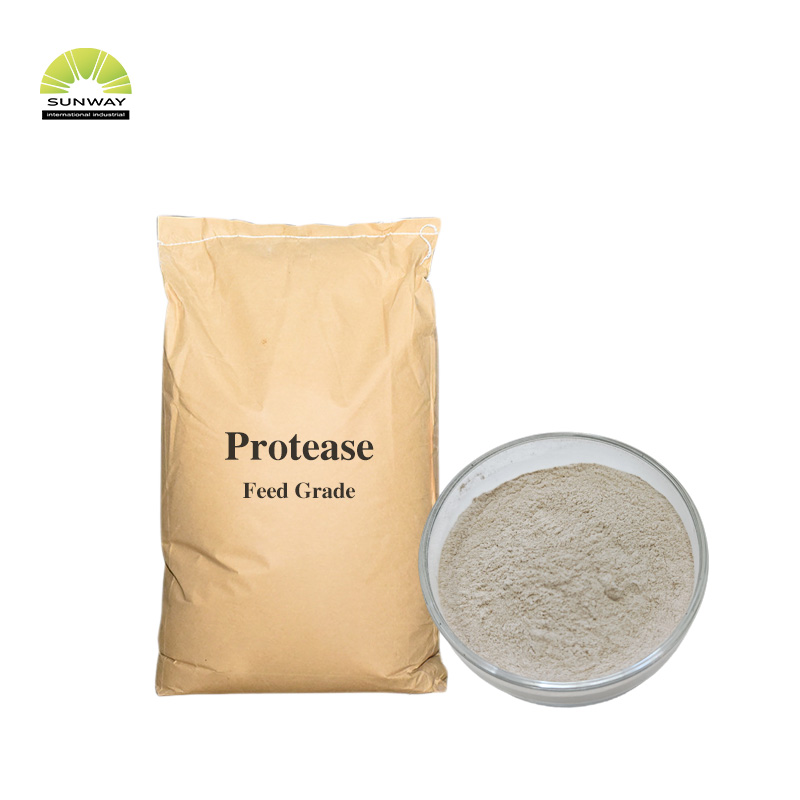 Poudre d'enzyme de protéase alcaline de qualité alimentaire, alimentation d'usine, Cas 9014-01-1