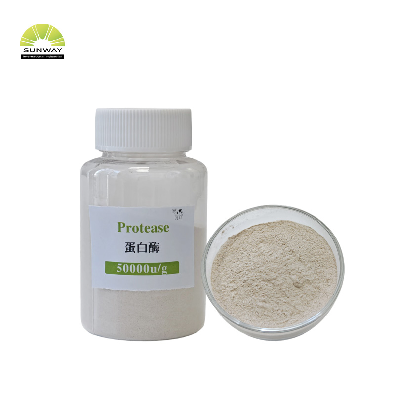 Poudre d'enzyme de protéase alcaline de qualité alimentaire, alimentation d'usine, Cas 9014-01-1
