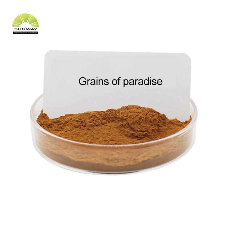 SUNWAY Extrait de grains de paradis en poudre sans OGM Aframomum Melegueta Extrait de graines de grains de paradis