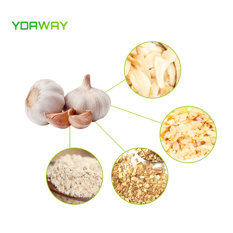 SUNWAY Rondelles de ciboulette séchées d'assurance qualité/oignon vert déshydraté avec ISO/HACCP/HALAL