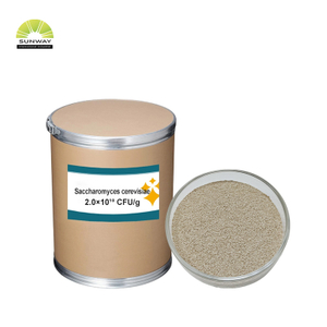 Usine 20 milliards de Saccharomyces Cerevisiae brasseurs levure en poudre additif alimentaire pour volaille bétail porc bovin mouton