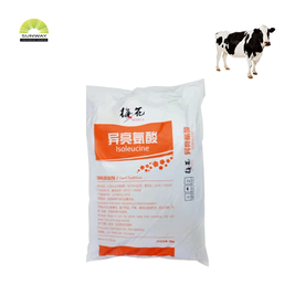 Isoleucine d'acide aminé de qualité alimentaire 99 %