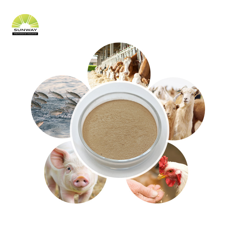 Prix ​​de la poudre d'enzyme alpha-amylase thermostable de haute qualité