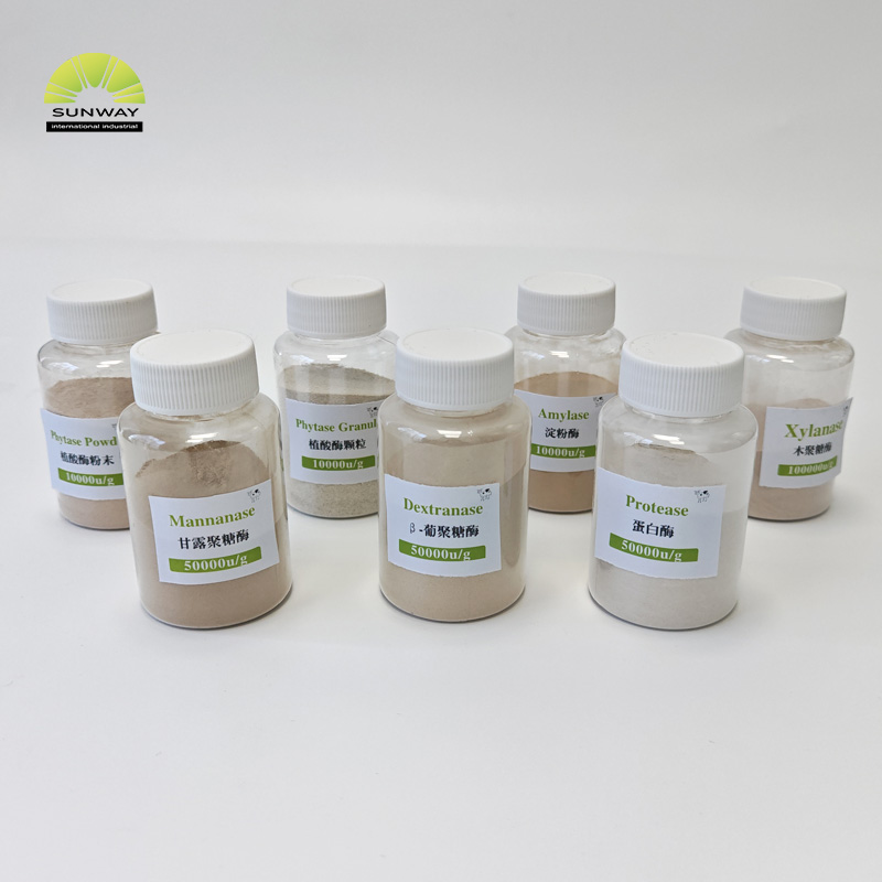 Poudre d'enzyme de protéase alcaline de qualité alimentaire, alimentation d'usine, Cas 9014-01-1