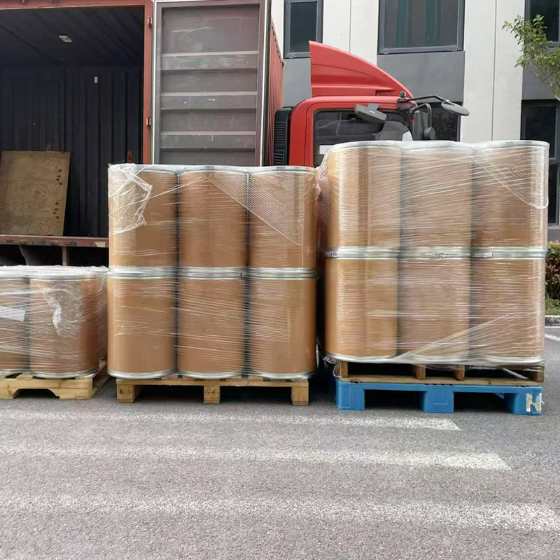 Poudre probiotique de Bacillus coagulans de qualité alimentaire pour volaille