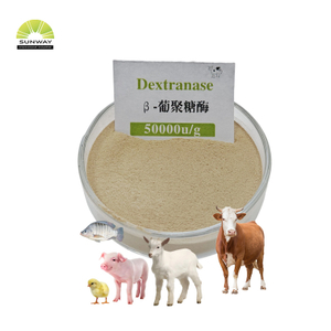 Additifs alimentaires, sac de 25kg, 50000u/g, poudre d'enzyme bêta-dextranase pour améliorer l'immunité