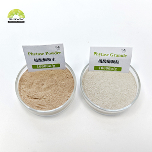 Enzyme phytase de qualité alimentaire pour poudre de phytase stable à l'acide de volaille Phytase 5000 et 10000 disponible