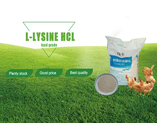 Qu’est-ce que le chlorhydrate de lysine granulaire et pourquoi est-il important dans l’alimentation aquacole ?
